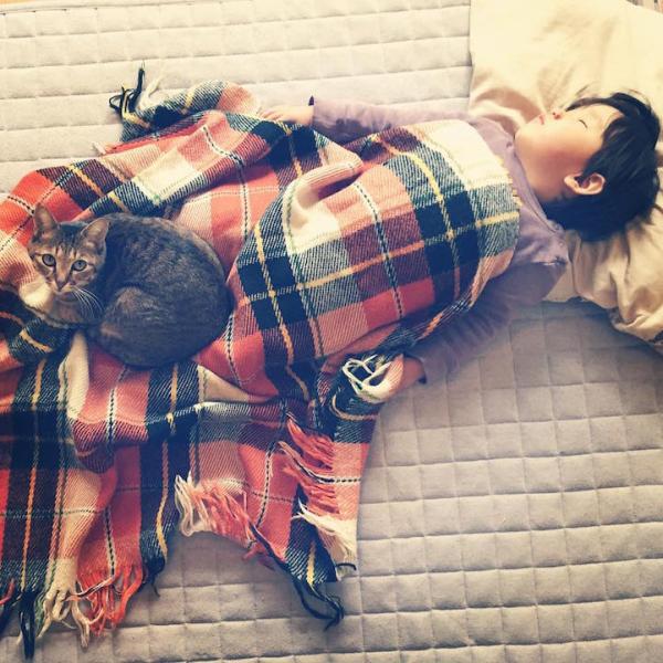 作为一只猫，我最想做的事就是陪着你长大