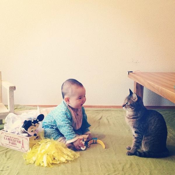 作为一只猫，我最想做的事就是陪着你长大