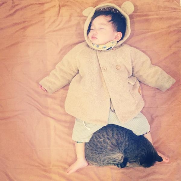 作为一只猫，我最想做的事就是陪着你长大