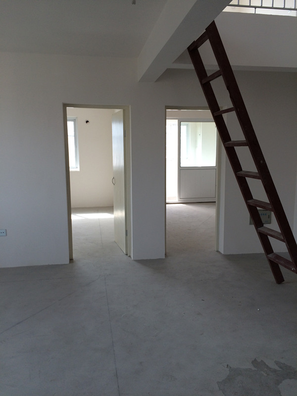 楼中楼低价出租