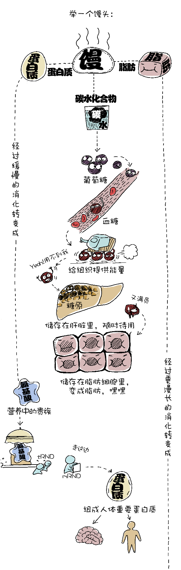 好喵漫画 | 每逢佳节胖三斤？