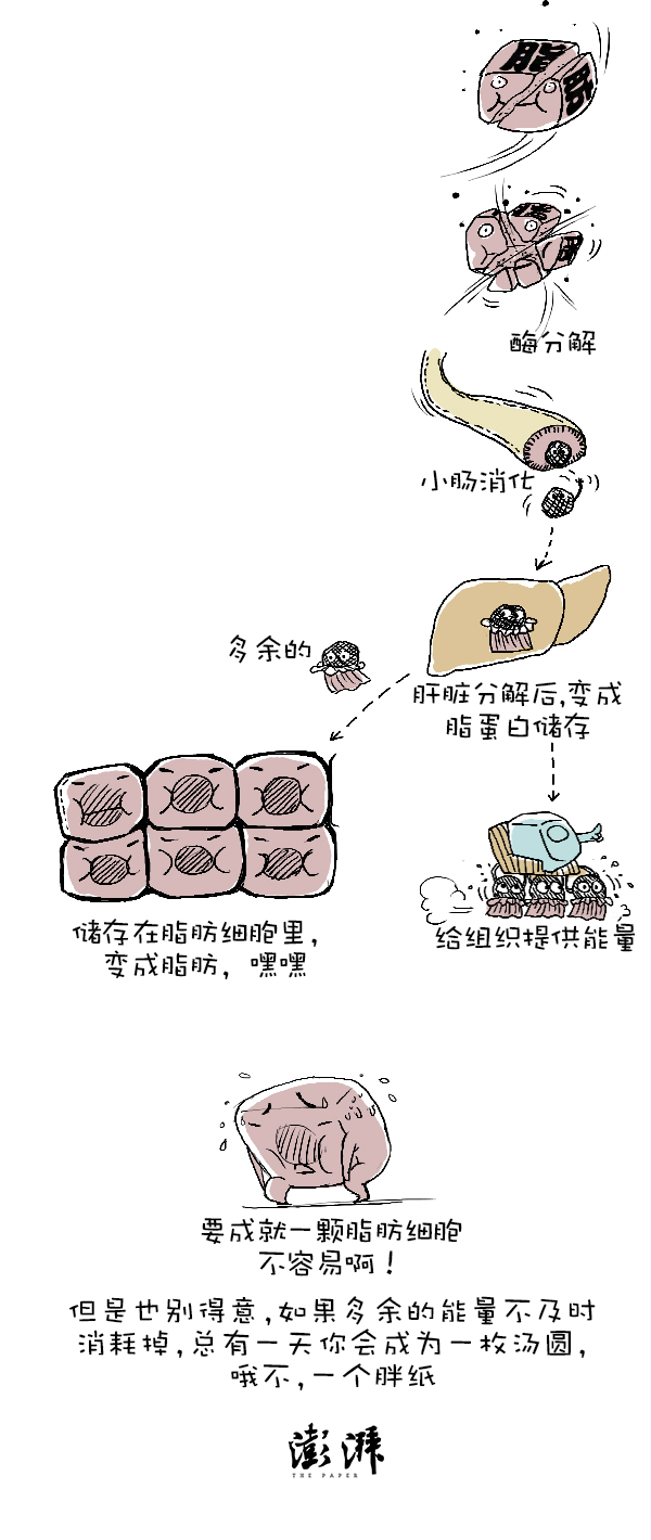 好喵漫画 | 每逢佳节胖三斤？