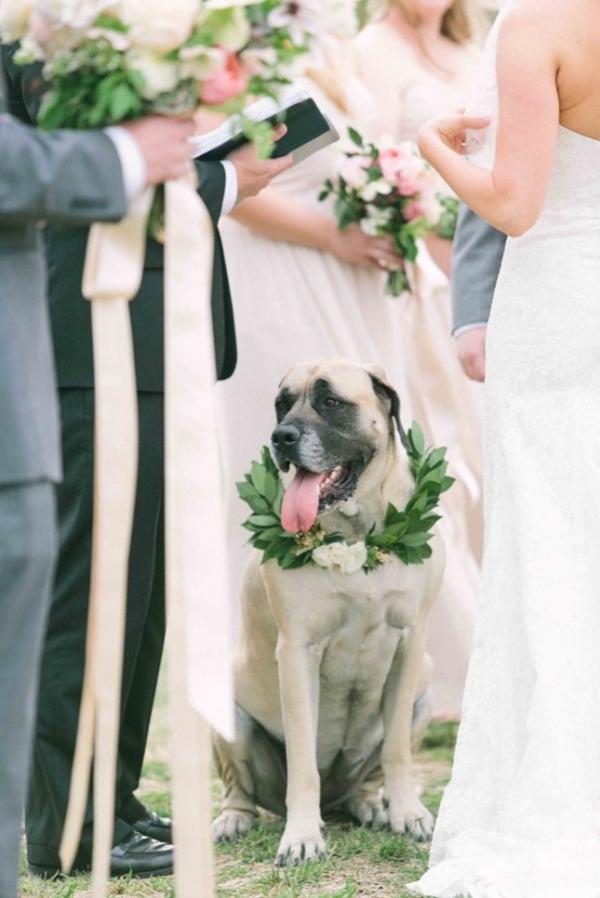 新的一年，这16条婚礼趋势准新娘们得看看