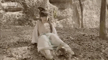 空庭女医十一郎，开年大剧哪家强