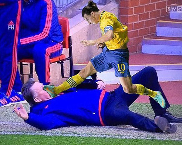 不想当影帝的厨子不是好教练，奥斯卡该给范加尔颁个什么奖？