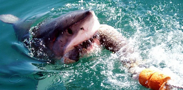 南非，冒险趁现在