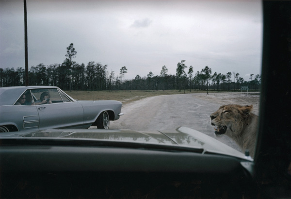 眼光|不必有一张新的好照片，要的是无数新体验