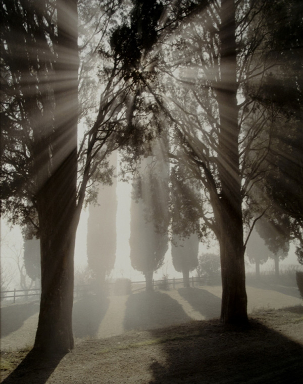 眼光|不必有一张新的好照片，要的是无数新体验