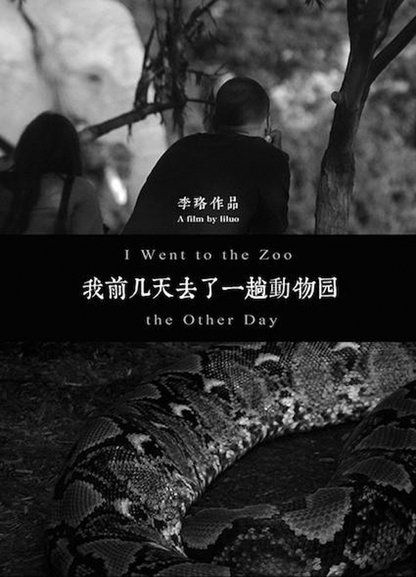 喜欢艺术电影的朋友，请看过来