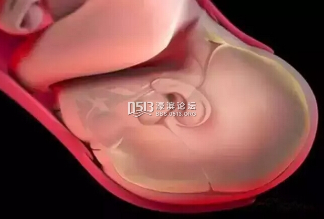 顺产全过程真实现场实拍