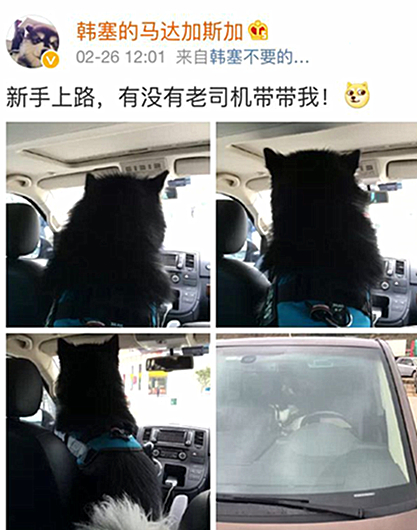 澎湃联播|如何安全上路，听听“老司机”怎么说