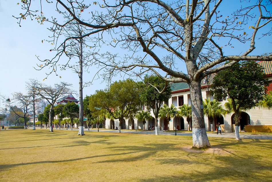厦门大学-02.jpg