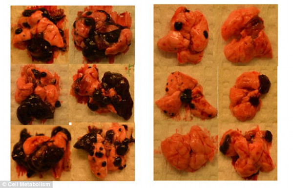 最新研究显示跑步真的有助抗癌，这次可不是伪科学段子
