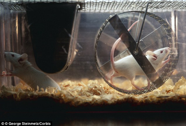 最新研究显示跑步真的有助抗癌，这次可不是伪科学段子