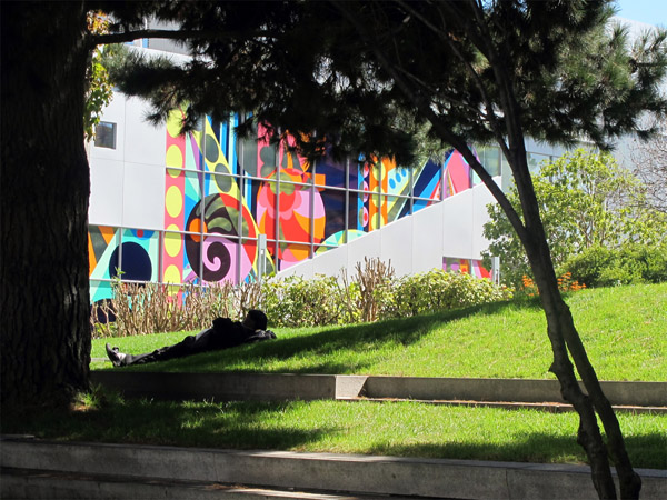 艺术爱好者们的旧金山