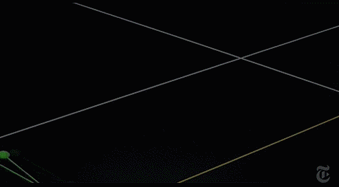 酷炫动图（二十六）：昆虫篇