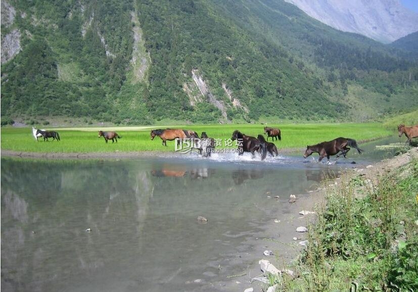 七藏沟9.jpg