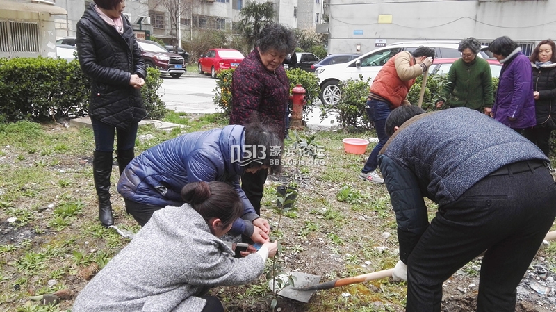 弘运社区：志愿者义务植树 共建绿色家园2_副本.jpg