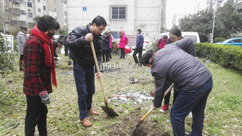 弘运社区：志愿者义务植树 共建绿色家园1_副本.jpg