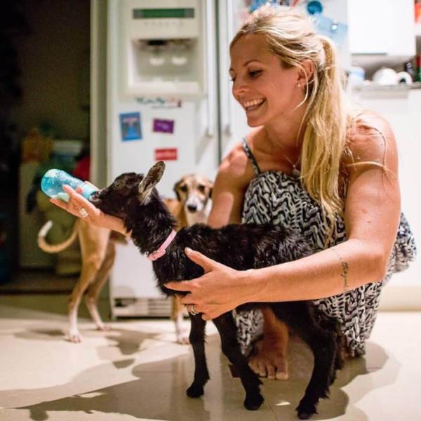 与山羊宝宝搭档做瑜伽，就是这么有趣！