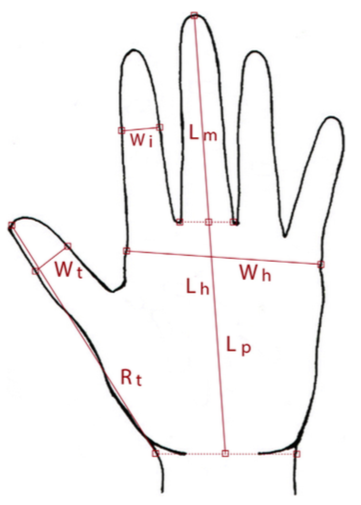 【论文故事】史前岩画上的“手”是谁的？