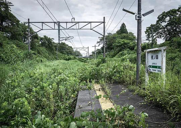 福岛核事故五周年丨“5年来，我们生活奋斗在震后的福岛”