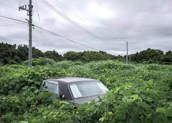 福岛核事故五周年丨“5年来，我们生活奋斗在震后的福岛”