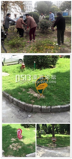 崇义、礼、智邻里打造小花圃