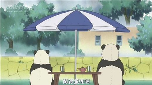 澎湃联播|“神之一手”不常有，不如背背圆周率