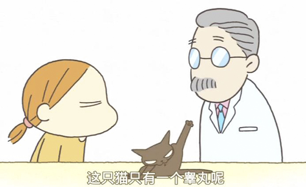 春暖花开，来看喵喵喵喵