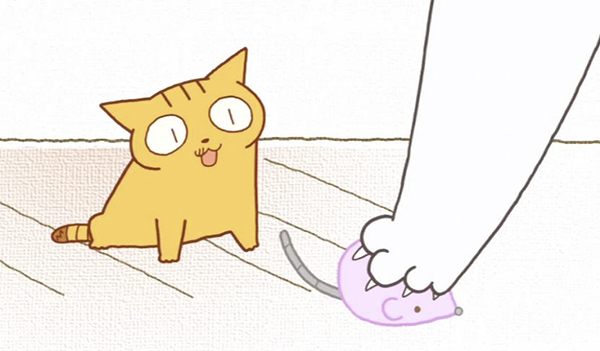 春暖花开，来看喵喵喵喵