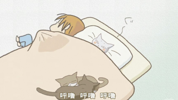 春暖花开，来看喵喵喵喵