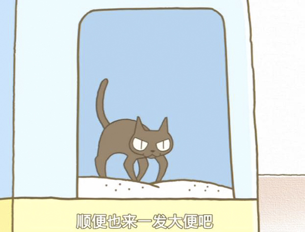 春暖花开，来看喵喵喵喵