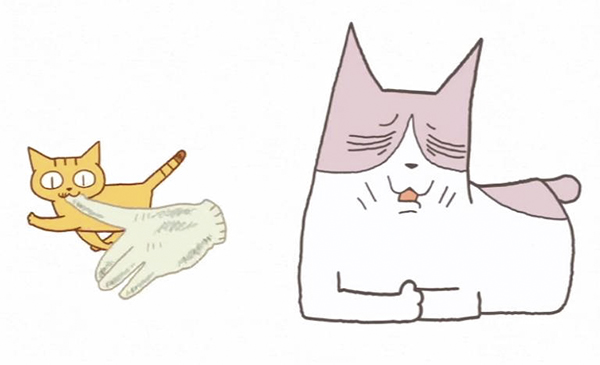 春暖花开，来看喵喵喵喵