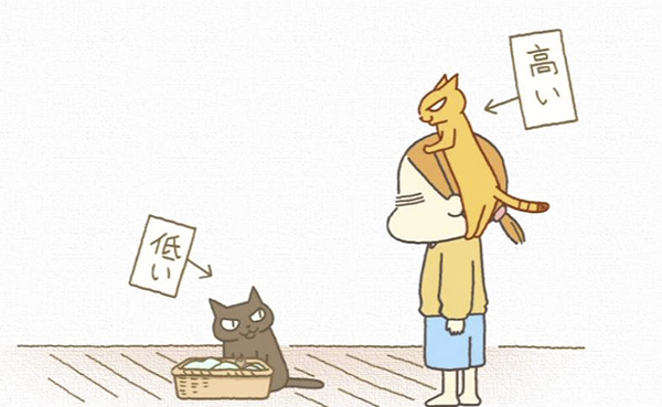 春暖花开，来看喵喵喵喵