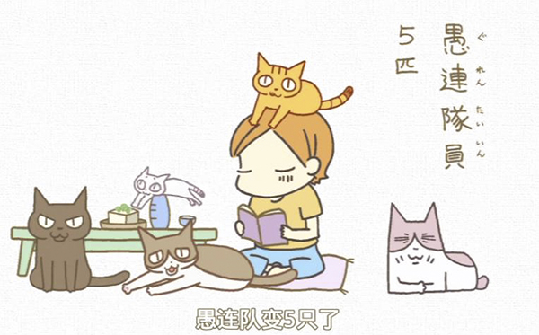 春暖花开，来看喵喵喵喵