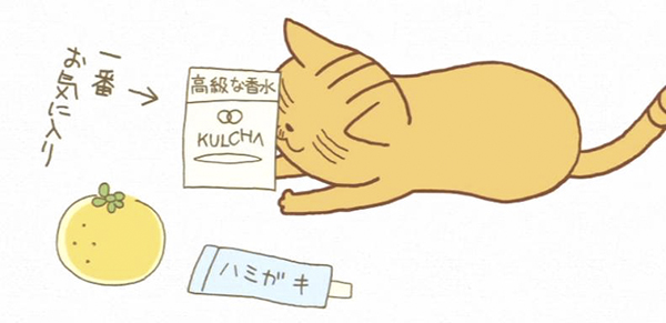 春暖花开，来看喵喵喵喵