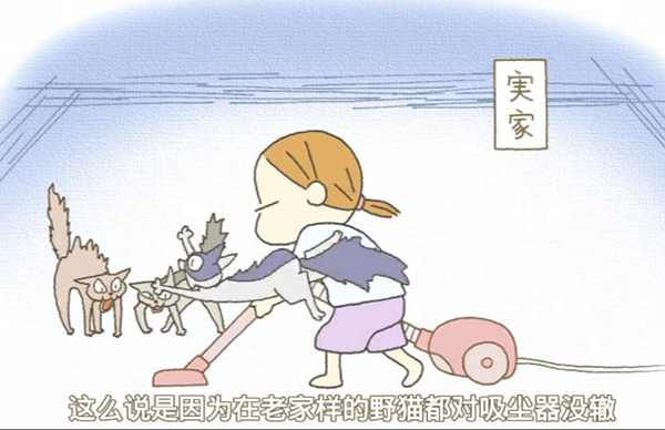 春暖花开，来看喵喵喵喵