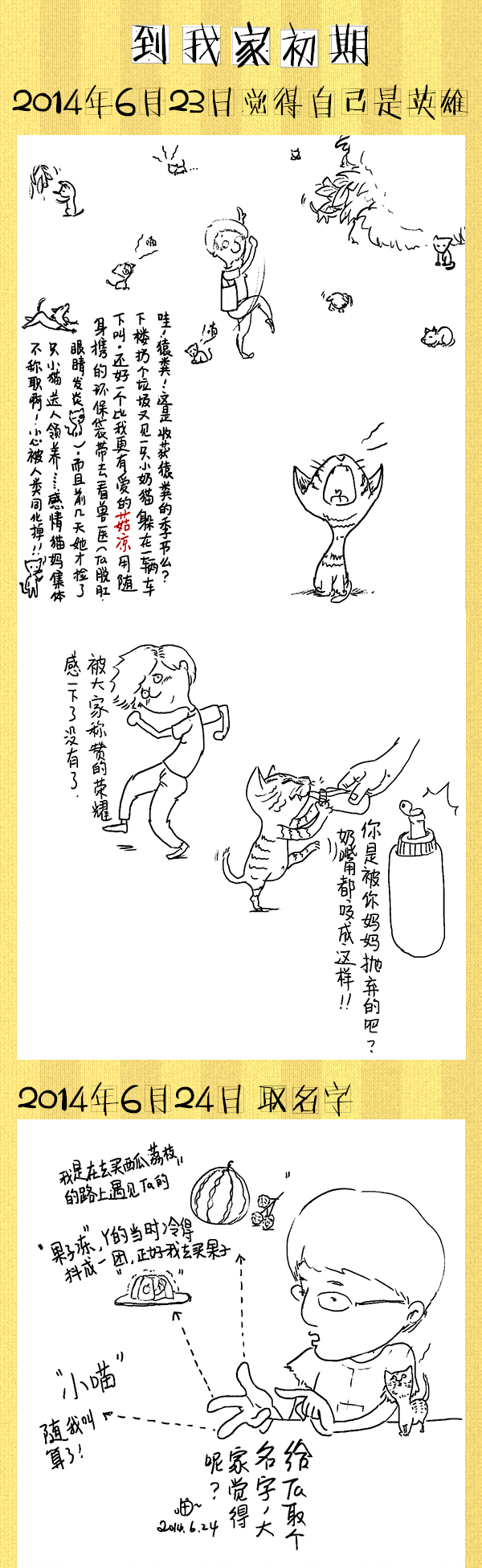 好喵漫画 | 好喵养猫记（上）