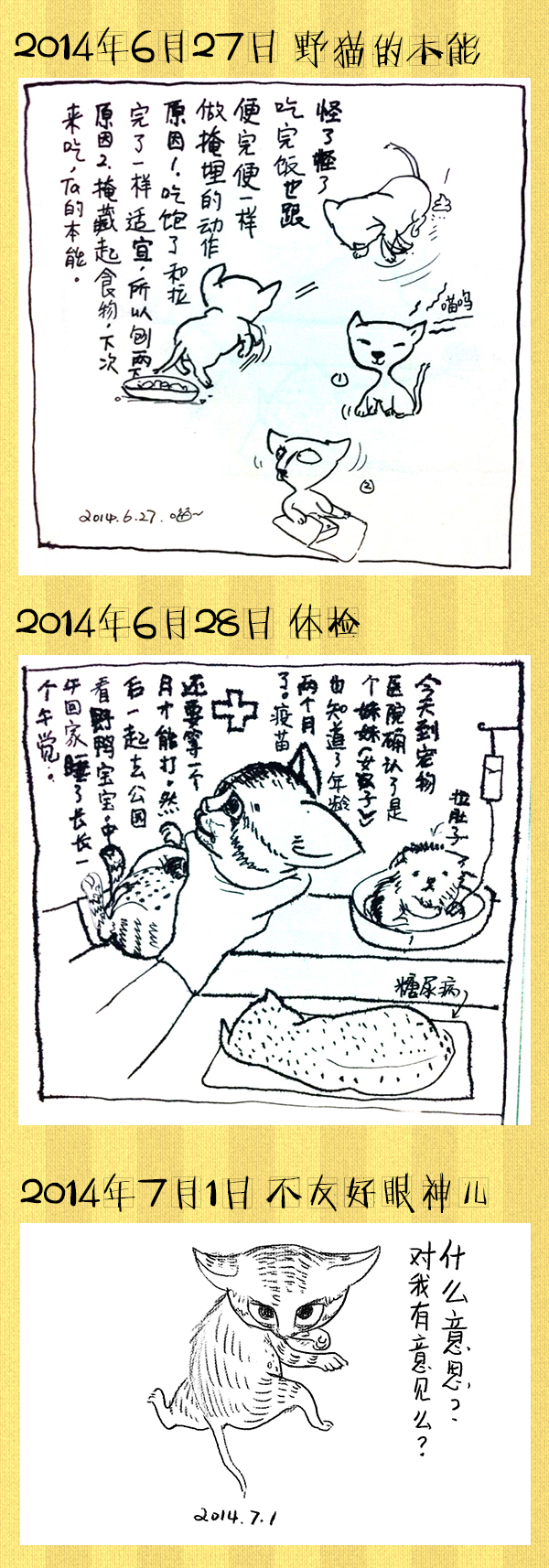 好喵漫画 | 好喵养猫记（上）