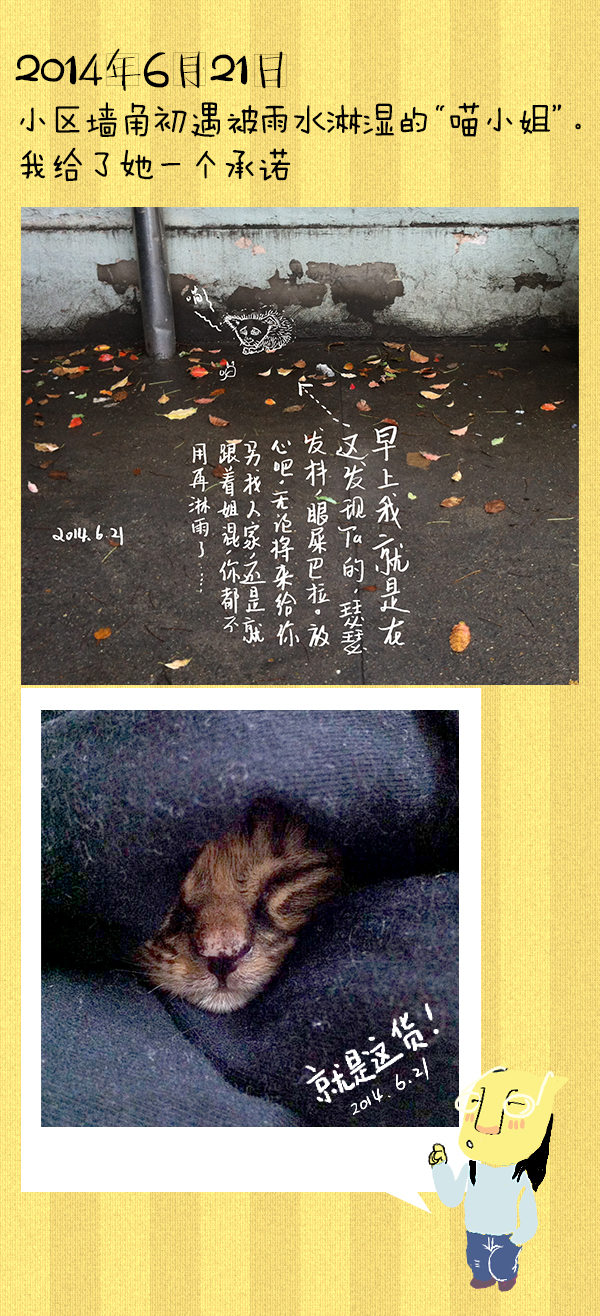 好喵漫画 | 好喵养猫记（上）