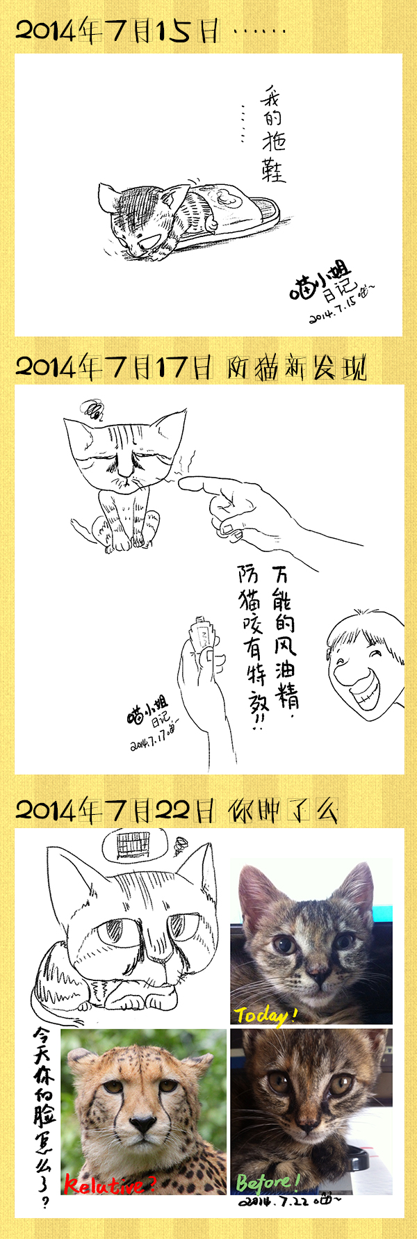 好喵漫画 | 好喵养猫记（上）