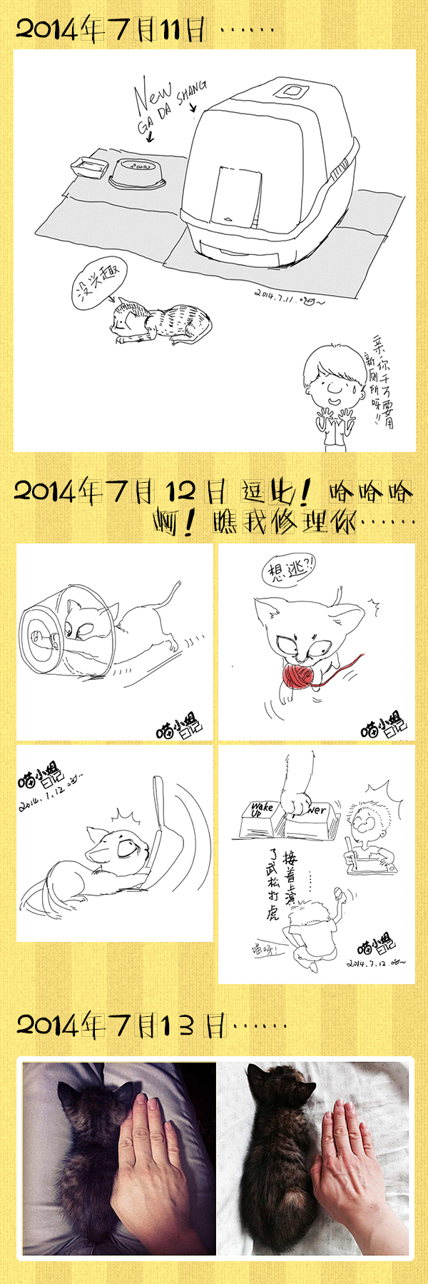 好喵漫画 | 好喵养猫记（上）