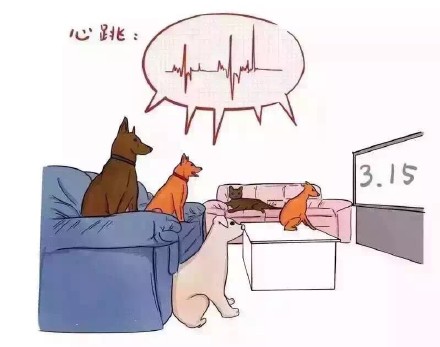 澎湃联播|饿了，还是叫妈妈吧