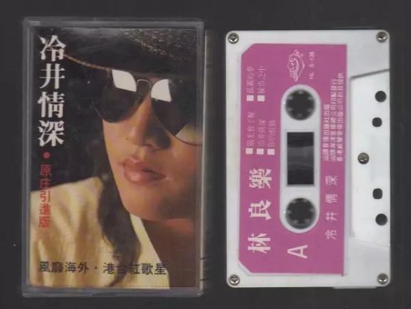 纪念林良乐：风中流浪记