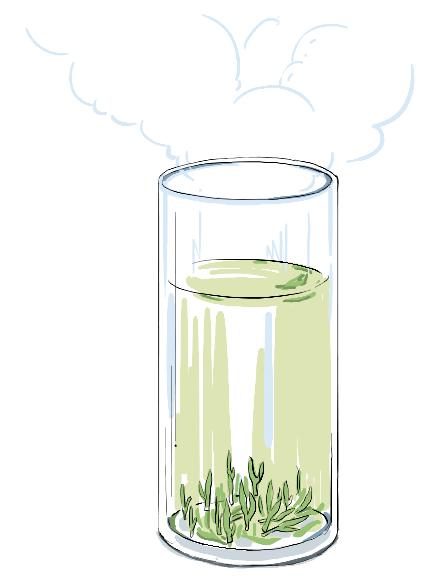 【答网友问】为什么春茶特别好喝？