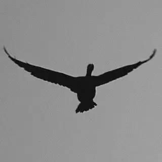 武钢裁员五万人 保安工作15年工资才破2000元