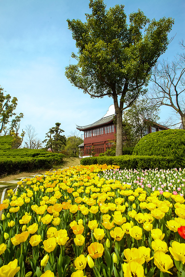 IMG_6532 - 副本.jpg