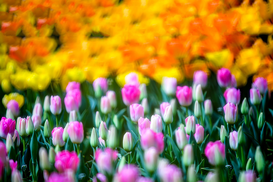 IMG_6533 - 副本.jpg