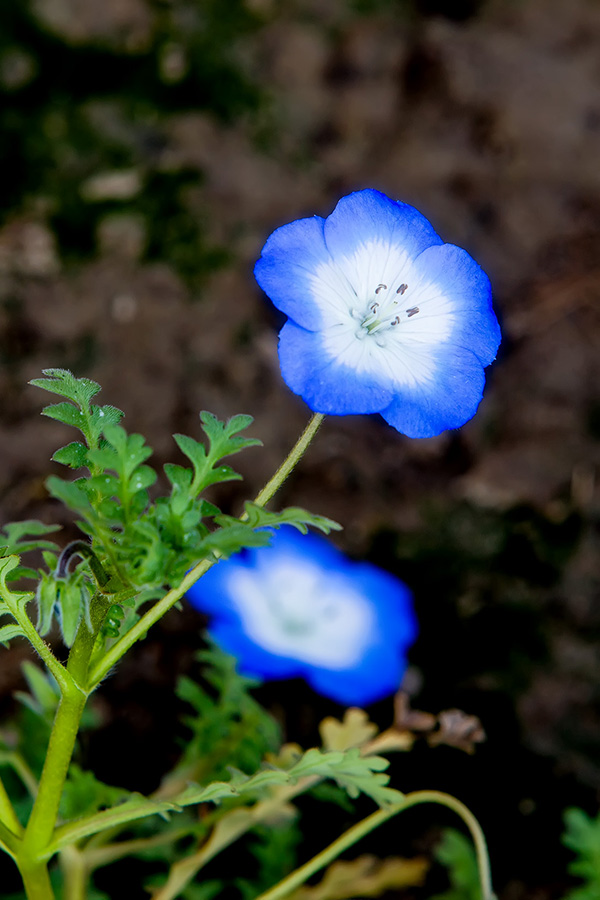 IMG_6543 - 副本.jpg